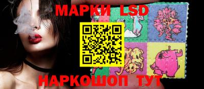 a pvp Новозыбков