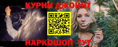 a pvp Новозыбков