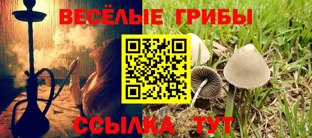 Галлюциногенные грибы мицелий  Вход с VPN  Рыбинск  Псилоцибиновые грибы GOLDEN TEACHER 